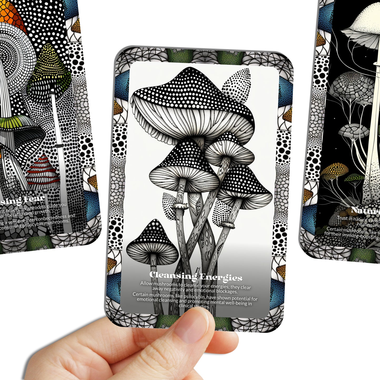 The Mushroom Oracle - 22 Oracle Cards - Unlocking the magic of mushrooms - By Symbolika - Vision Cards - Divination Tool